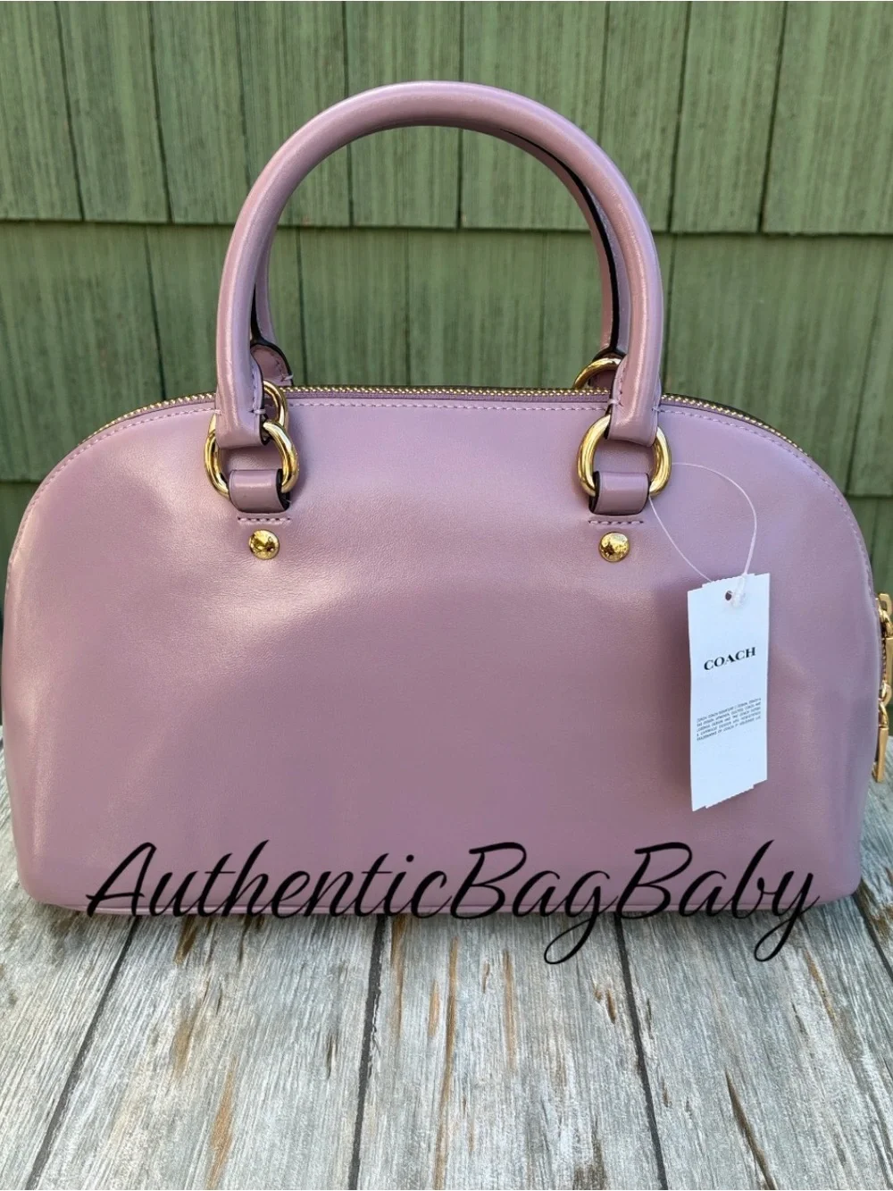 Coach Lara Satchel Leather Bag Purse